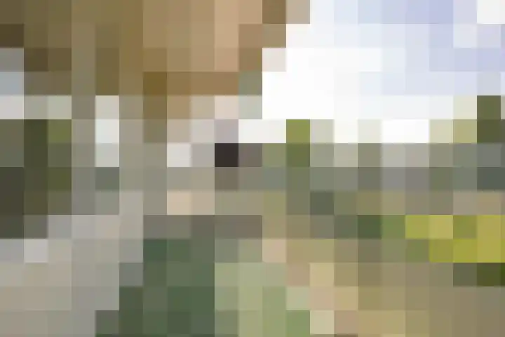 Valkenstede 103 Hoogeveen thumbnail 19