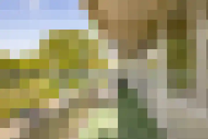 Valkenstede 103 Hoogeveen thumbnail 20