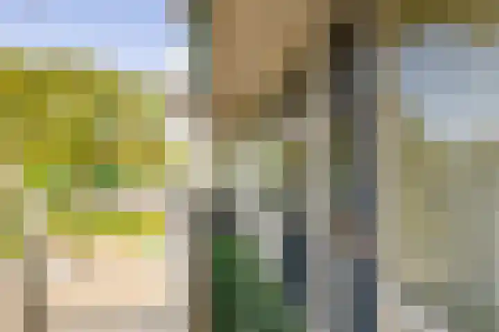 Valkenstede 103 Hoogeveen thumbnail 21