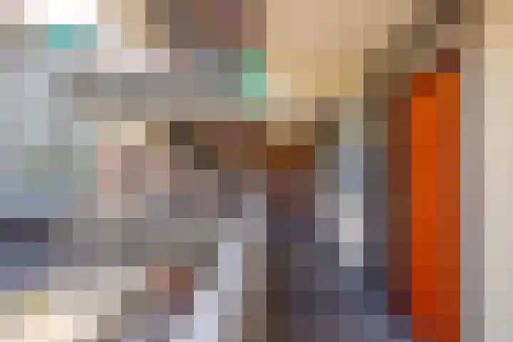Valkenstede 103 Hoogeveen thumbnail 34