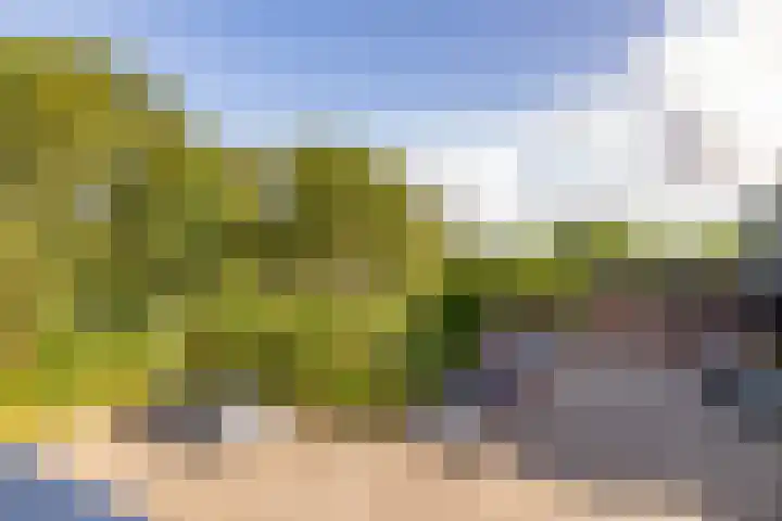 Valkenstede 103 Hoogeveen thumbnail 35