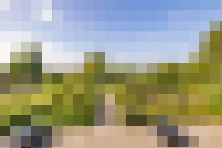 Valkenstede 103 Hoogeveen thumbnail 4