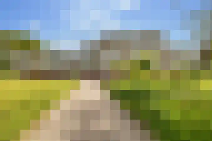 Valkenstede 103 Hoogeveen thumbnail 41