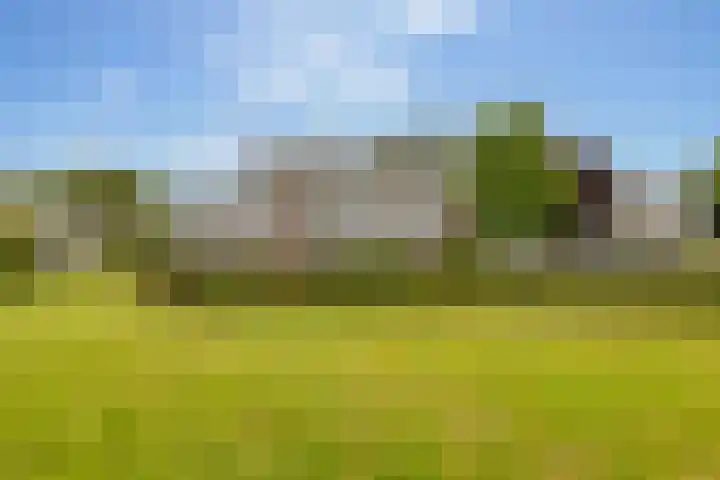 Valkenstede 103 Hoogeveen thumbnail 42