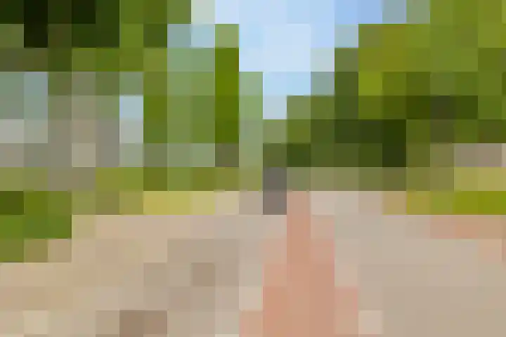 Valkenstede 103 Hoogeveen thumbnail 45