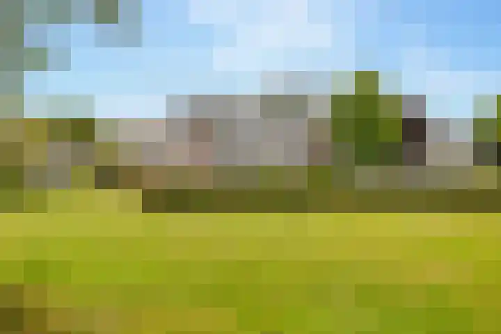 Valkenstede 103 Hoogeveen thumbnail 6