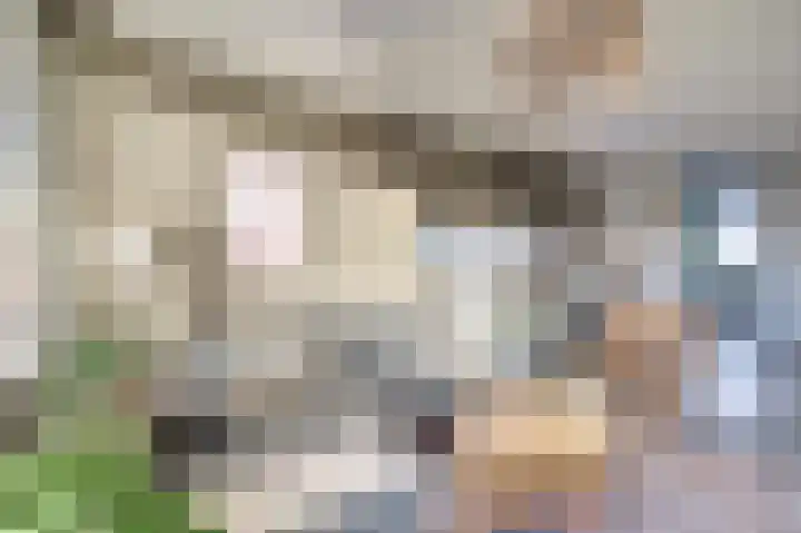 Valkenstede 125 Hoogeveen thumbnail 15