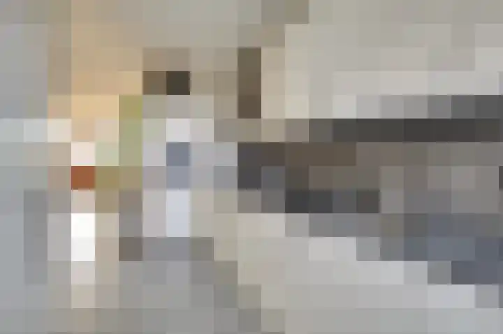 Valkenstede 125 Hoogeveen thumbnail 18