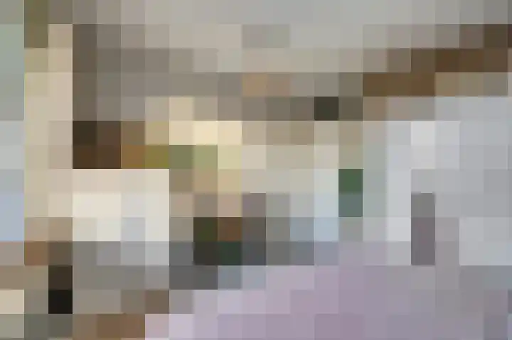 Valkenstede 125 Hoogeveen thumbnail 21