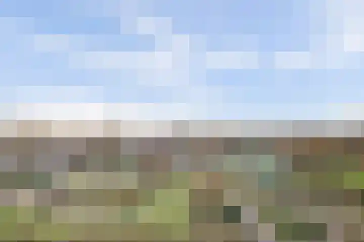 Valkenstede 125 Hoogeveen thumbnail 29