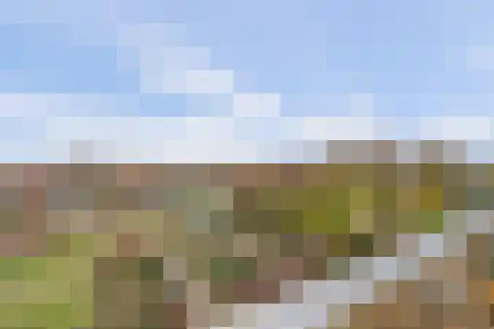 Valkenstede 125 Hoogeveen thumbnail 30