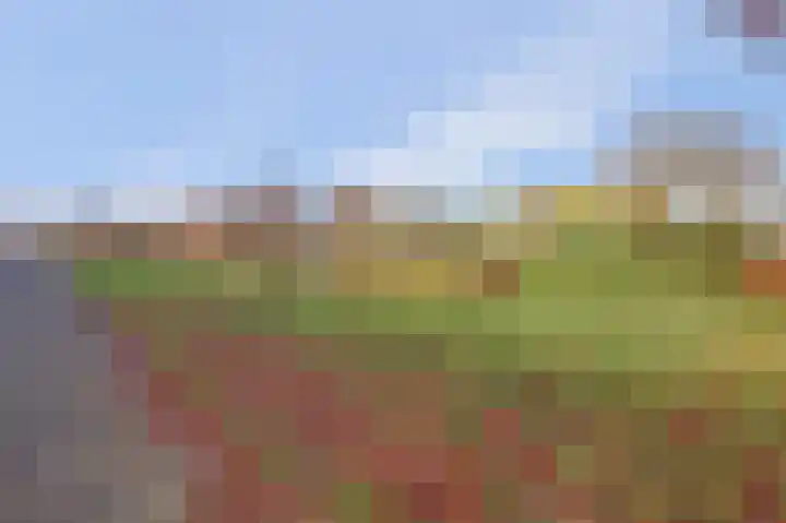 Valkenstede 125 Hoogeveen thumbnail 35
