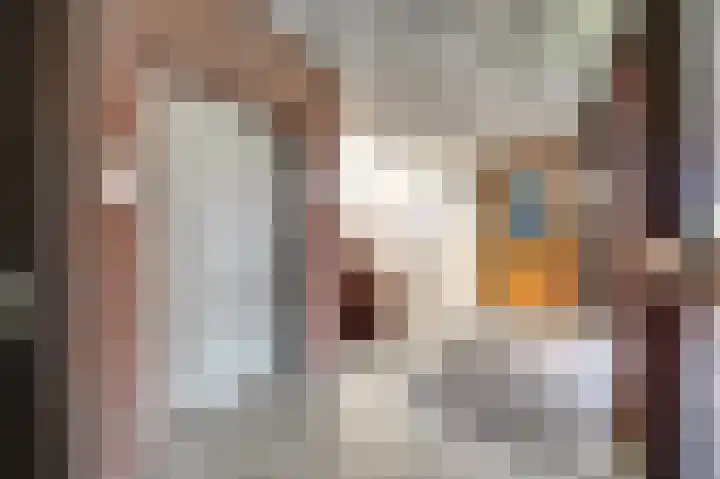 Valkenstede 125 Hoogeveen thumbnail 8