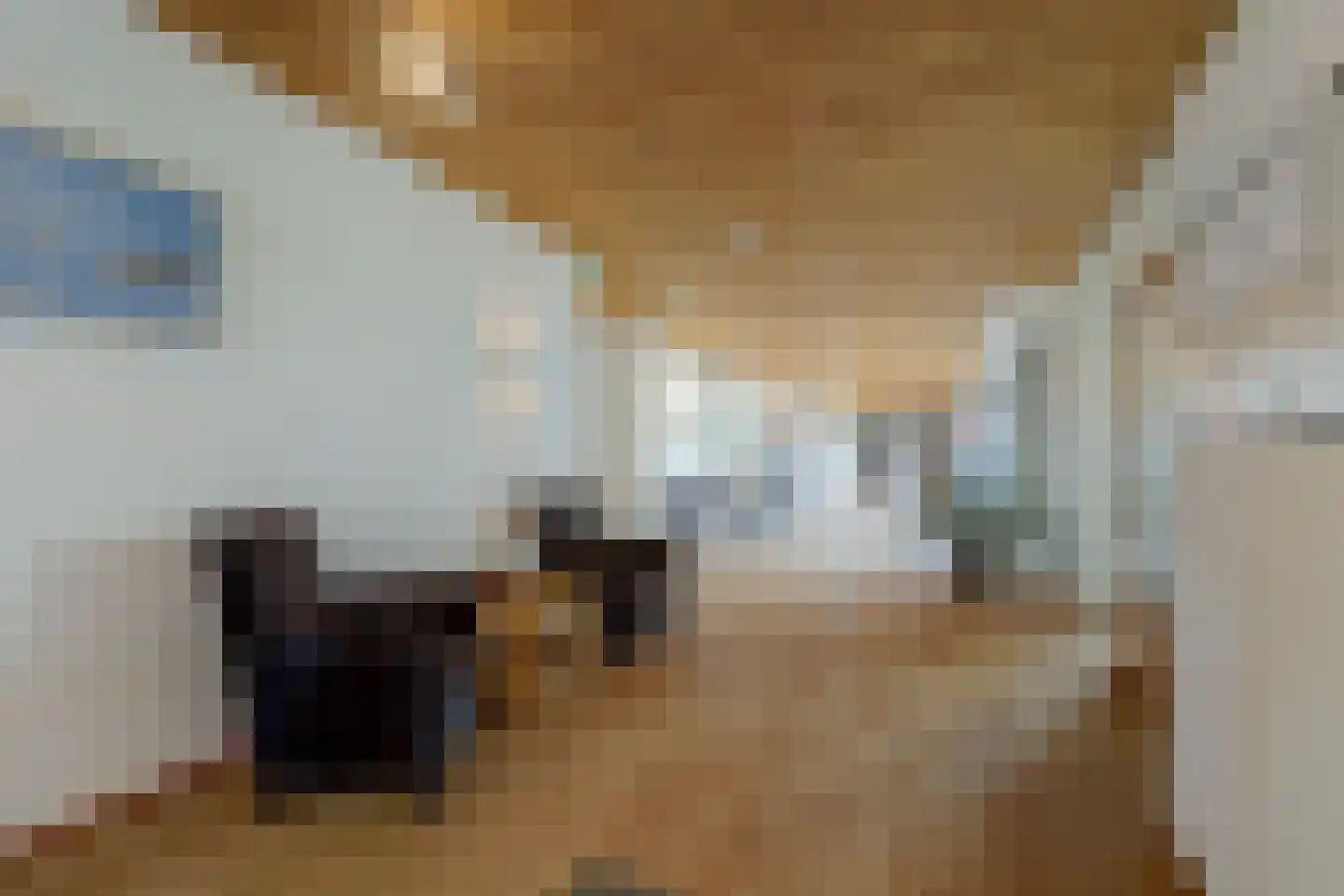 Valkenstede 18 Hoogeveen thumbnail 30