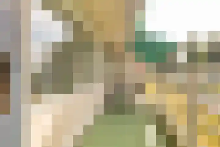 Valkenstede 3 Hoogeveen thumbnail 15