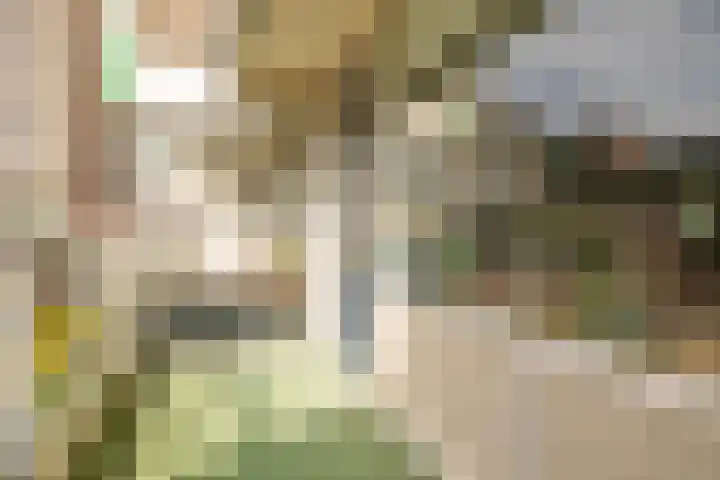 Valkenstede 3 Hoogeveen thumbnail 16