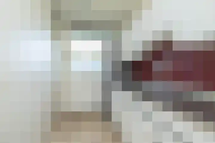 Valkenstede 3 Hoogeveen thumbnail 23