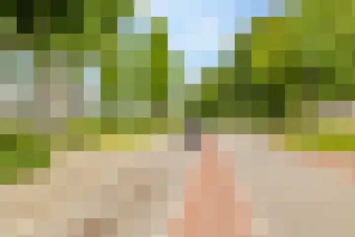 Valkenstede 3 Hoogeveen thumbnail 46