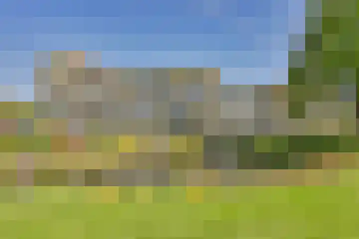 Valkenstede 3 Hoogeveen thumbnail 5