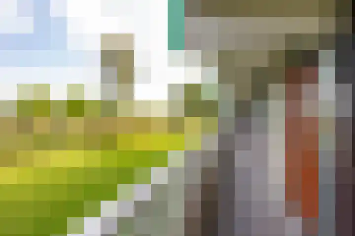 Valkenstede 3 Hoogeveen thumbnail 8