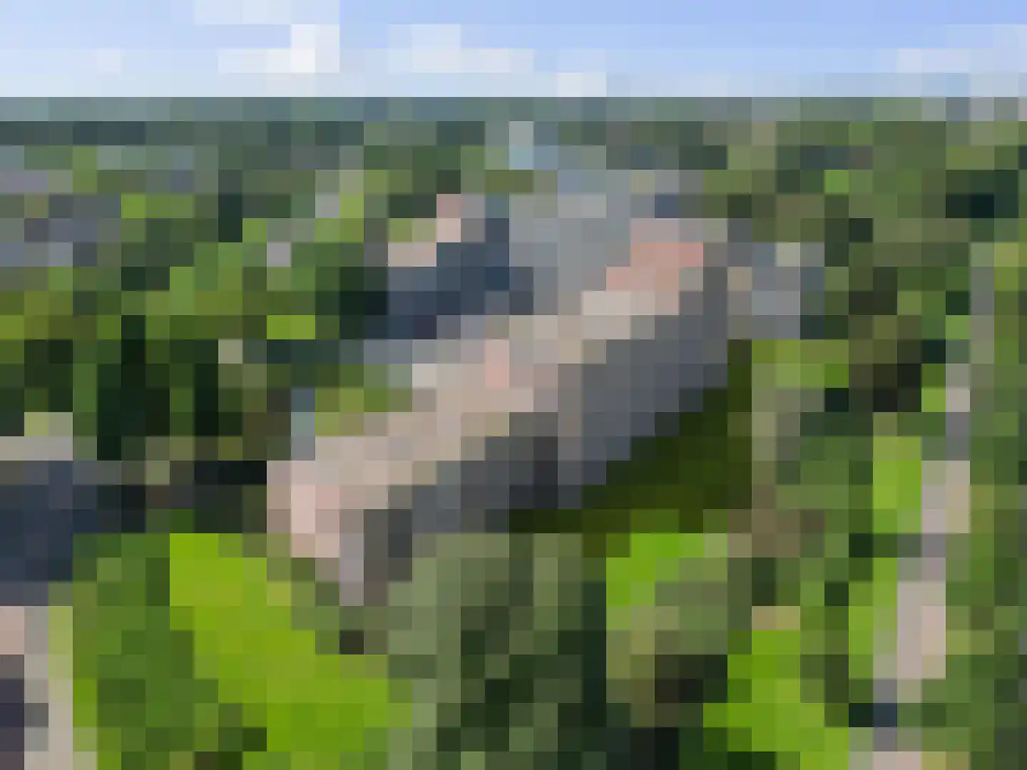 Valkenstede 30 Hoogeveen thumbnail 40