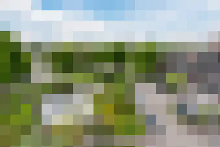 Valkenstede 39 Hoogeveen thumbnail 29