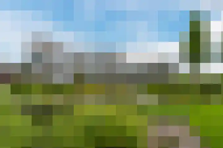 Valkenstede 39 Hoogeveen thumbnail 34