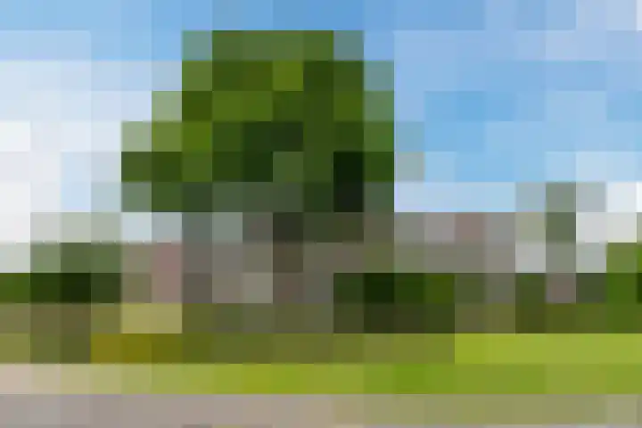 Valkenstede 39 Hoogeveen thumbnail 39