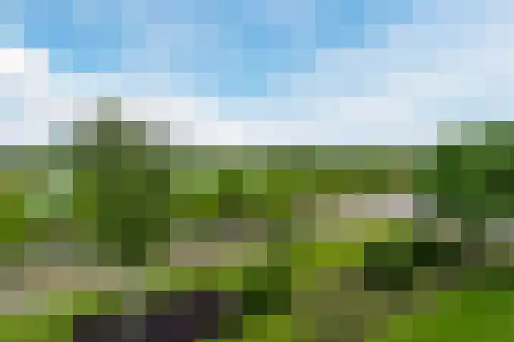 Valkenstede 39 Hoogeveen thumbnail 6