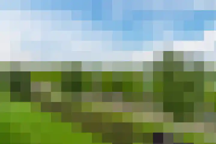 Valkenstede 39 Hoogeveen thumbnail 7