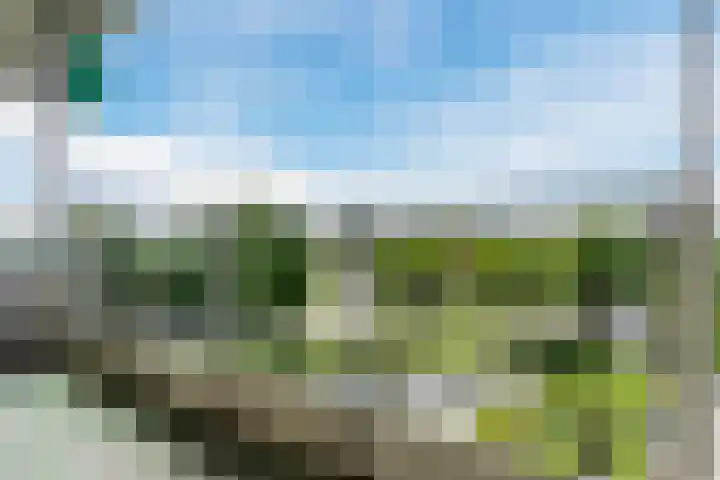 Valkenstede 39 Hoogeveen thumbnail 8