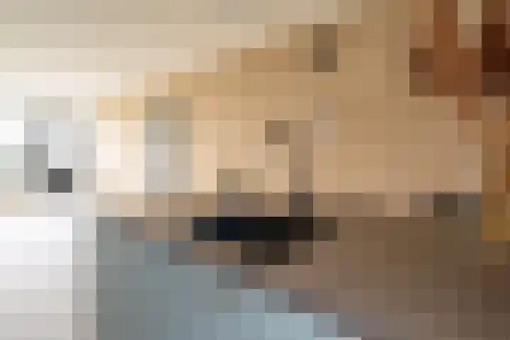 Valkenstede 41 Hoogeveen thumbnail 11
