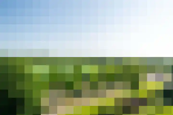 Valkenstede 41 Hoogeveen thumbnail 25