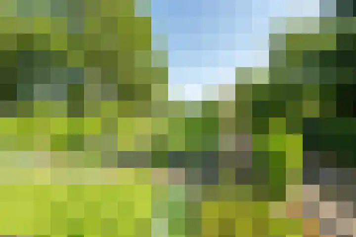 Valkenstede 41 Hoogeveen thumbnail 33