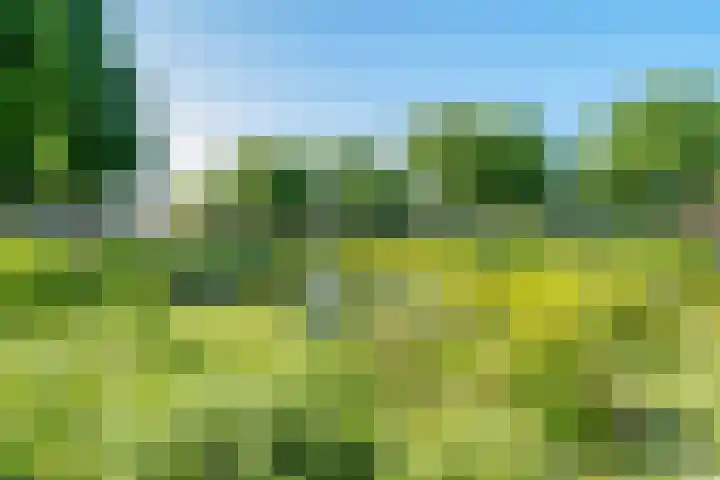 Valkenstede 41 Hoogeveen thumbnail 34