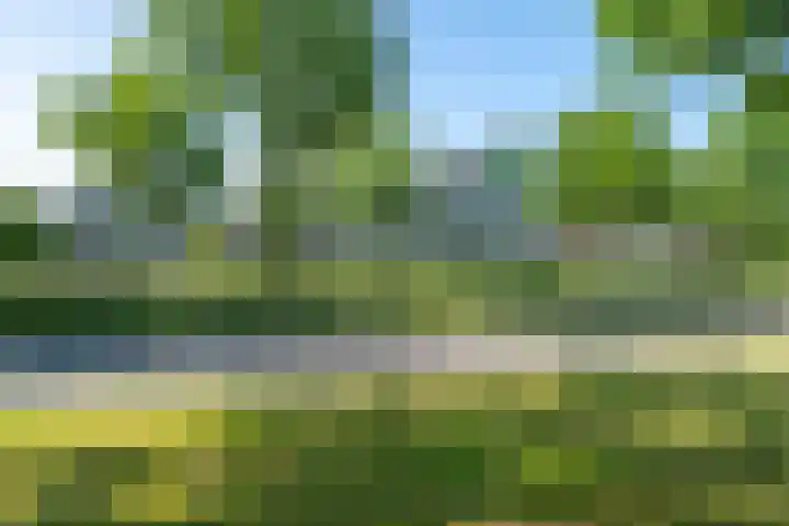 Valkenstede 41 Hoogeveen thumbnail 35