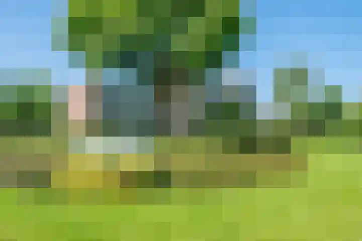 Valkenstede 41 Hoogeveen thumbnail 36