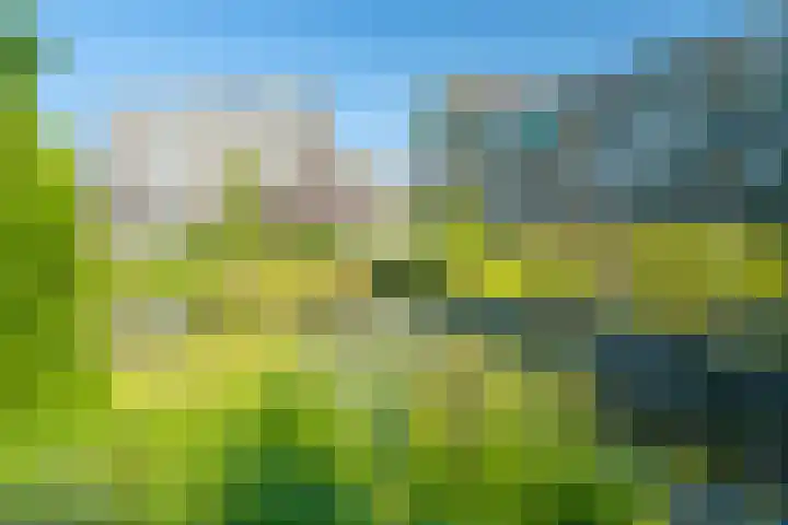 Valkenstede 41 Hoogeveen thumbnail 37