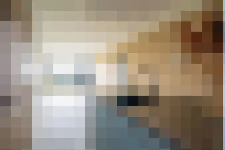 Valkenstede 41 Hoogeveen thumbnail 9
