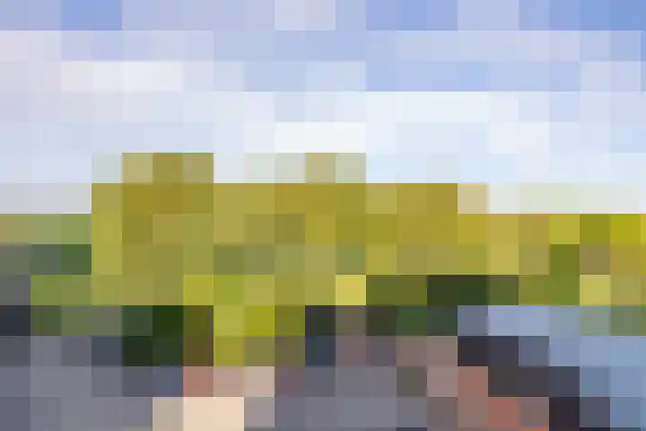 Valkenstede 67 Hoogeveen thumbnail 15