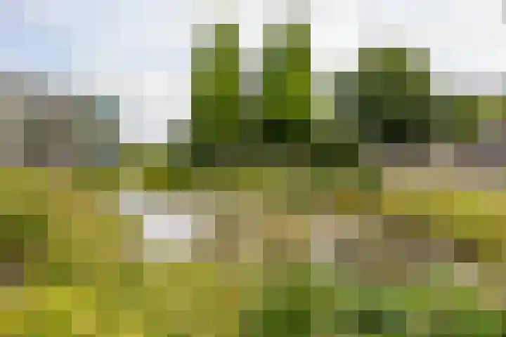 Valkenstede 67 Hoogeveen thumbnail 39