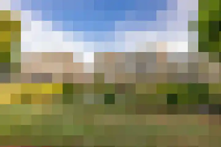 Valkenstede 67 Hoogeveen thumbnail 47