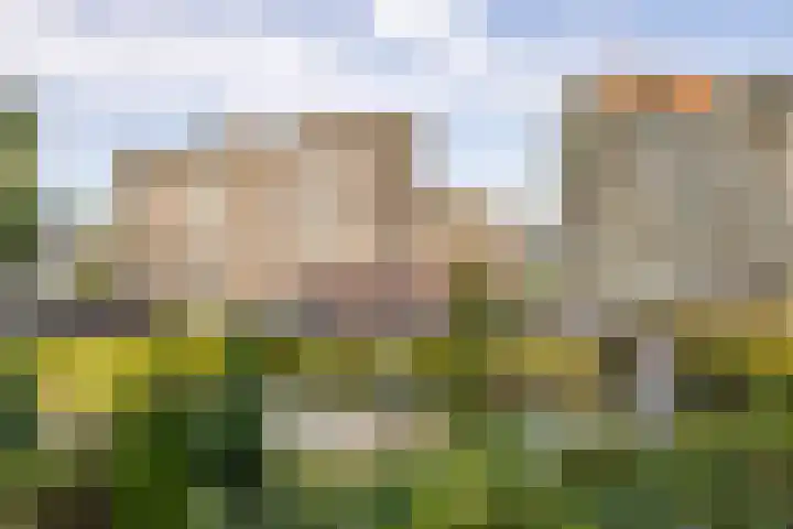 Valkenstede 67 Hoogeveen thumbnail 48
