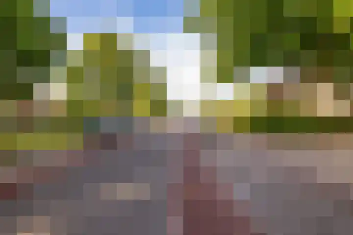 Valkenstede 67 Hoogeveen thumbnail 51