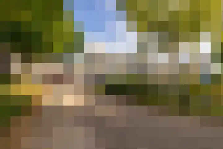 Valkenstede 67 Hoogeveen thumbnail 7