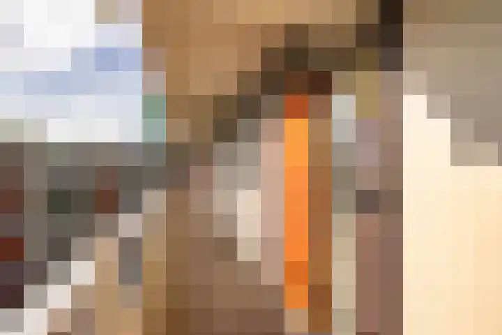 Valkenstede 67 Hoogeveen thumbnail 8