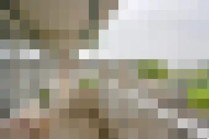Valkenstede 74 Hoogeveen thumbnail 35