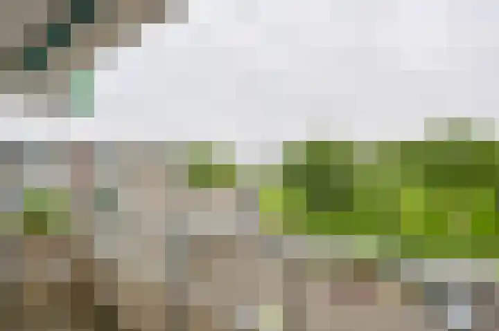 Valkenstede 74 Hoogeveen thumbnail 36