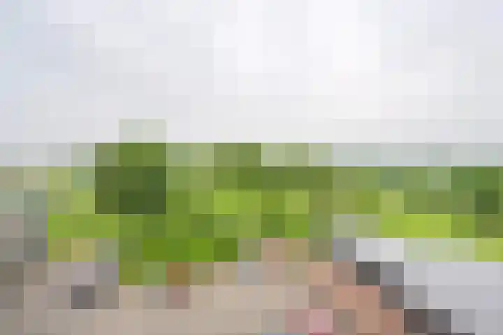 Valkenstede 74 Hoogeveen thumbnail 37