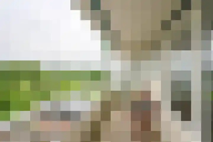 Valkenstede 74 Hoogeveen thumbnail 38